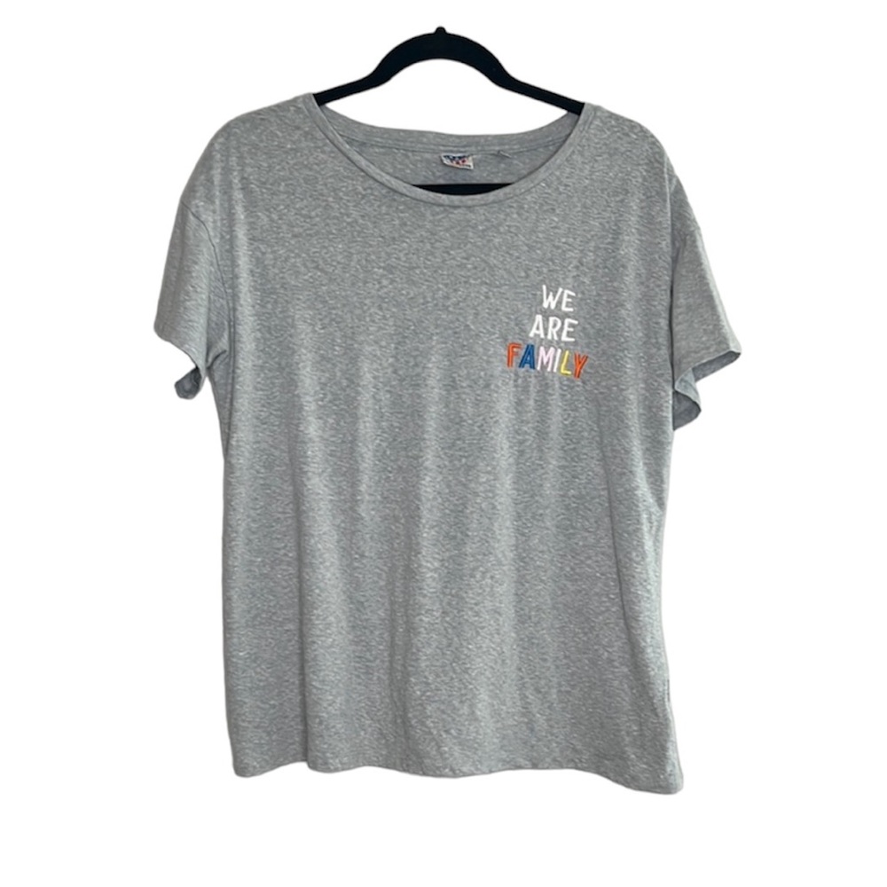 JUNK FOOD We are Family multi color embroidered gray tee size Small